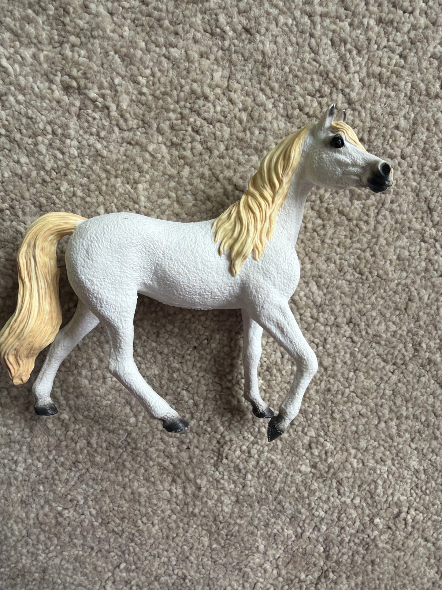✨Re-Loved Rockstar Arabian Mare – Pixie ✨