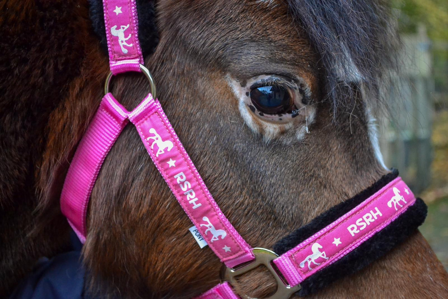 Rock Star Rocking Horse Head Collar - Electric Pink