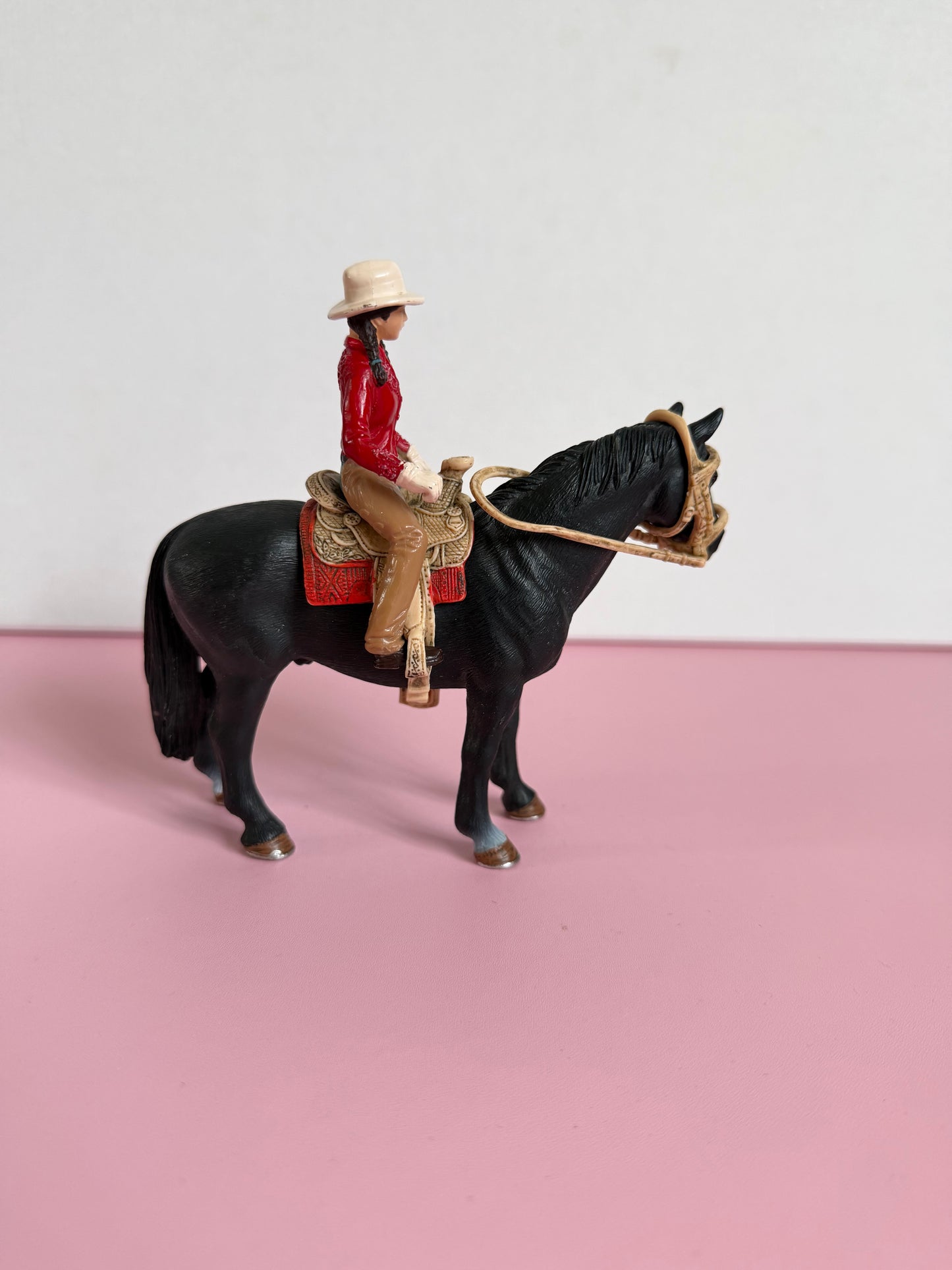 Re-Loved Rockstar: Tennessee Stallion and Western Rider
