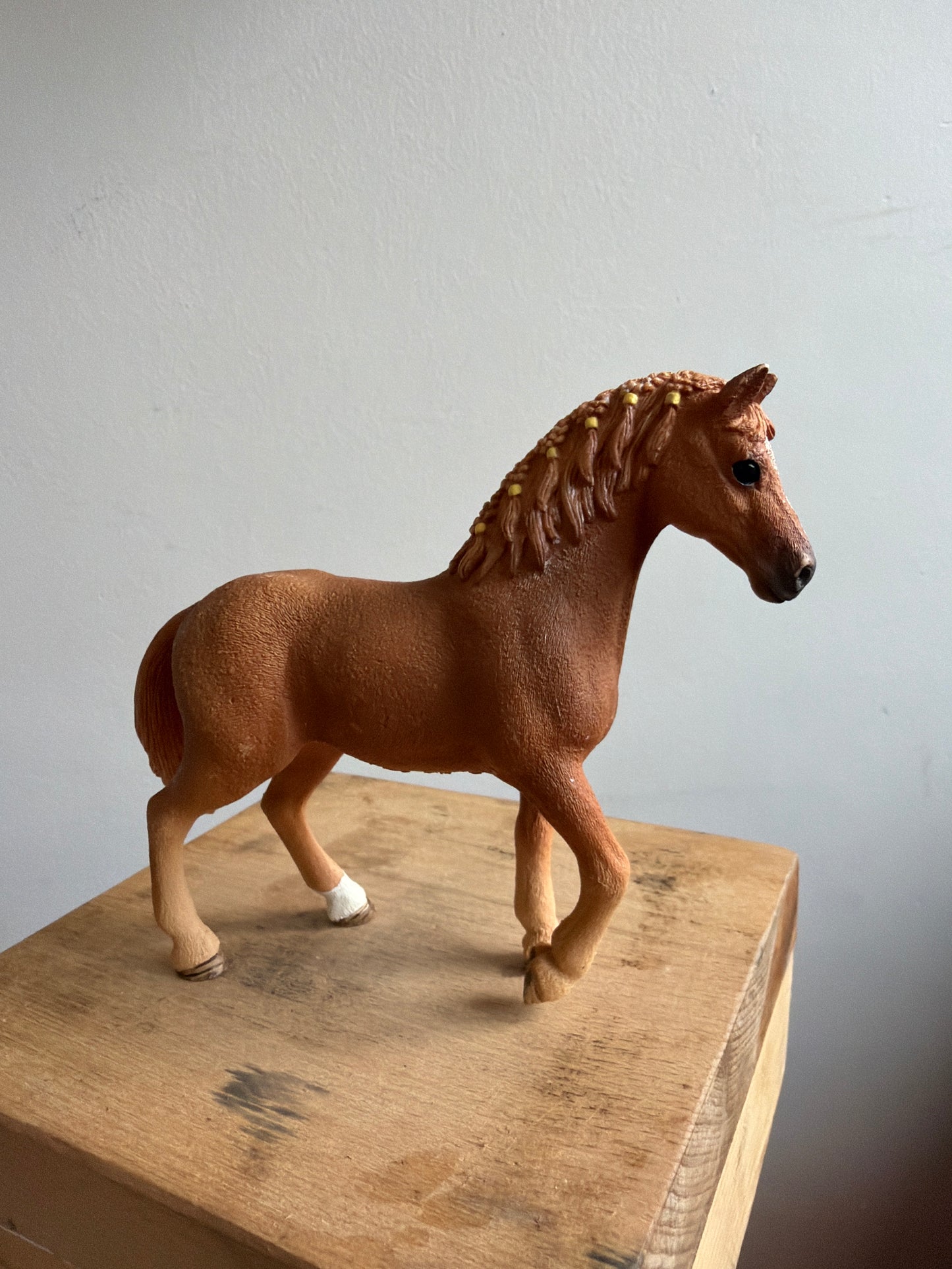 ✨Re-Loved Rockstar  – Quarter Horse Mare✨Nutmeg