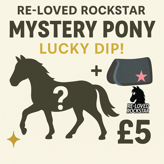 🎁 Re-Loved Rockstar Mystery Pony – Lucky Dip! 🎁