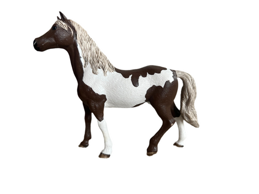 ✨Re-Loved Rockstar Paint Gelding – Cody✨