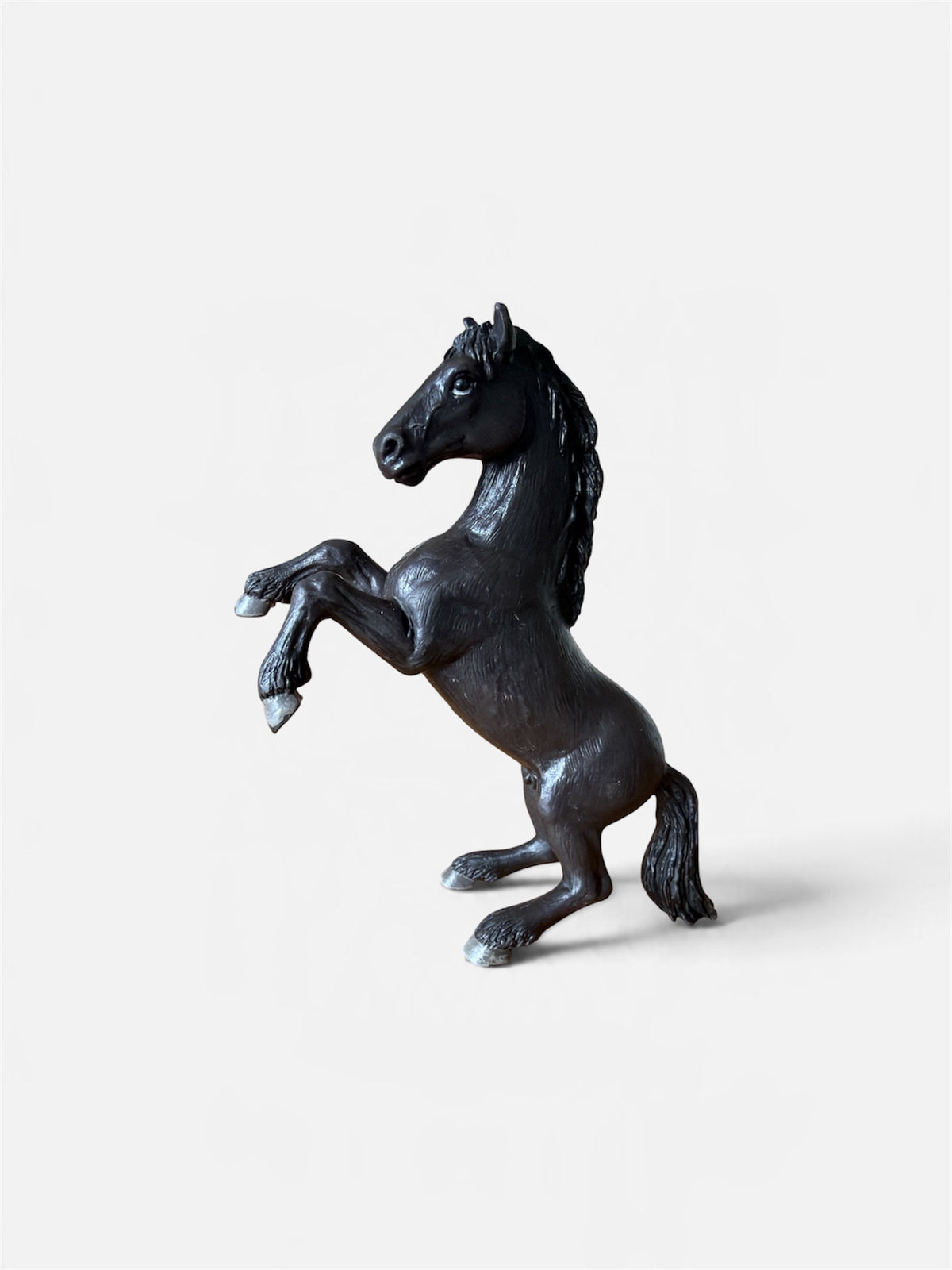 Re-Loved Rockstar: Marwari Stallion -Arjun (Copy)
