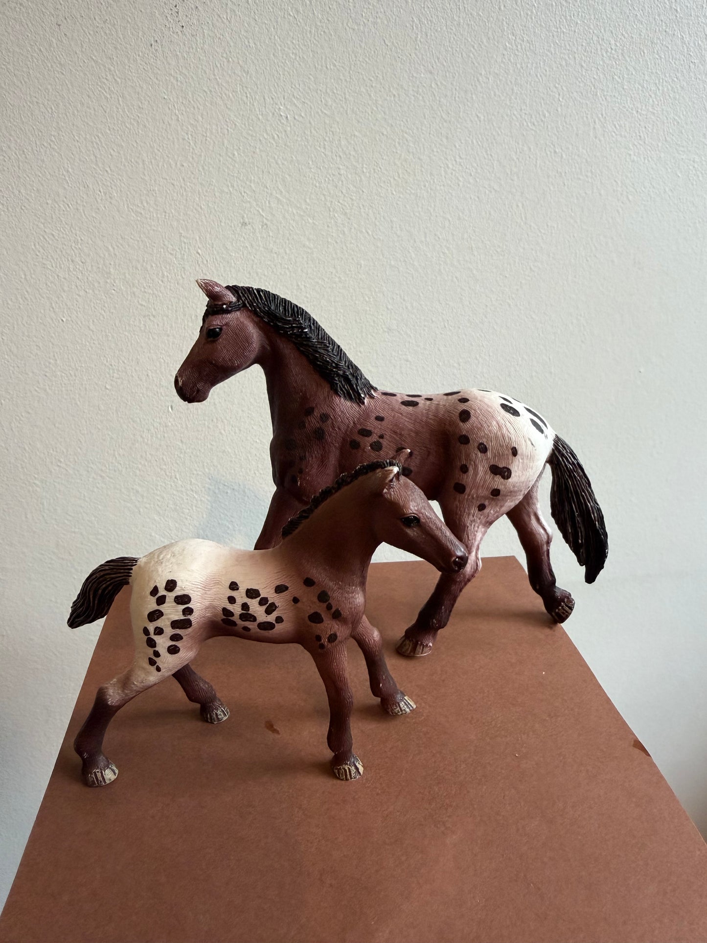 ✨Re-Loved Rockstar Appaloosa Mare & Foal–