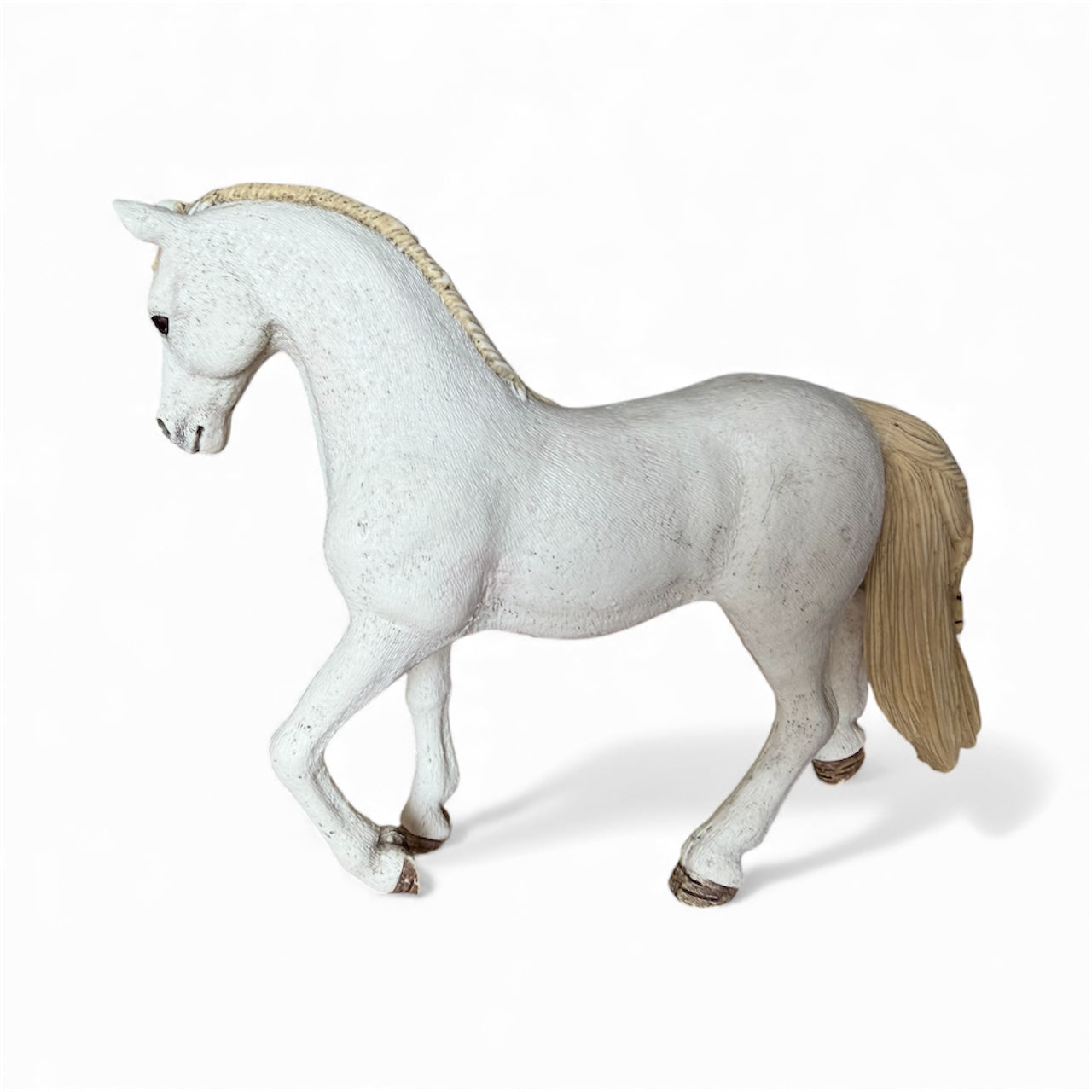 ✨ Re-Loved Rockstar Andalusian Mare – Rosa✨