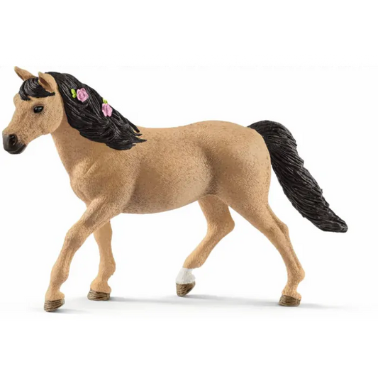 ✨Re-Loved Rockstar Connemara – Treacle