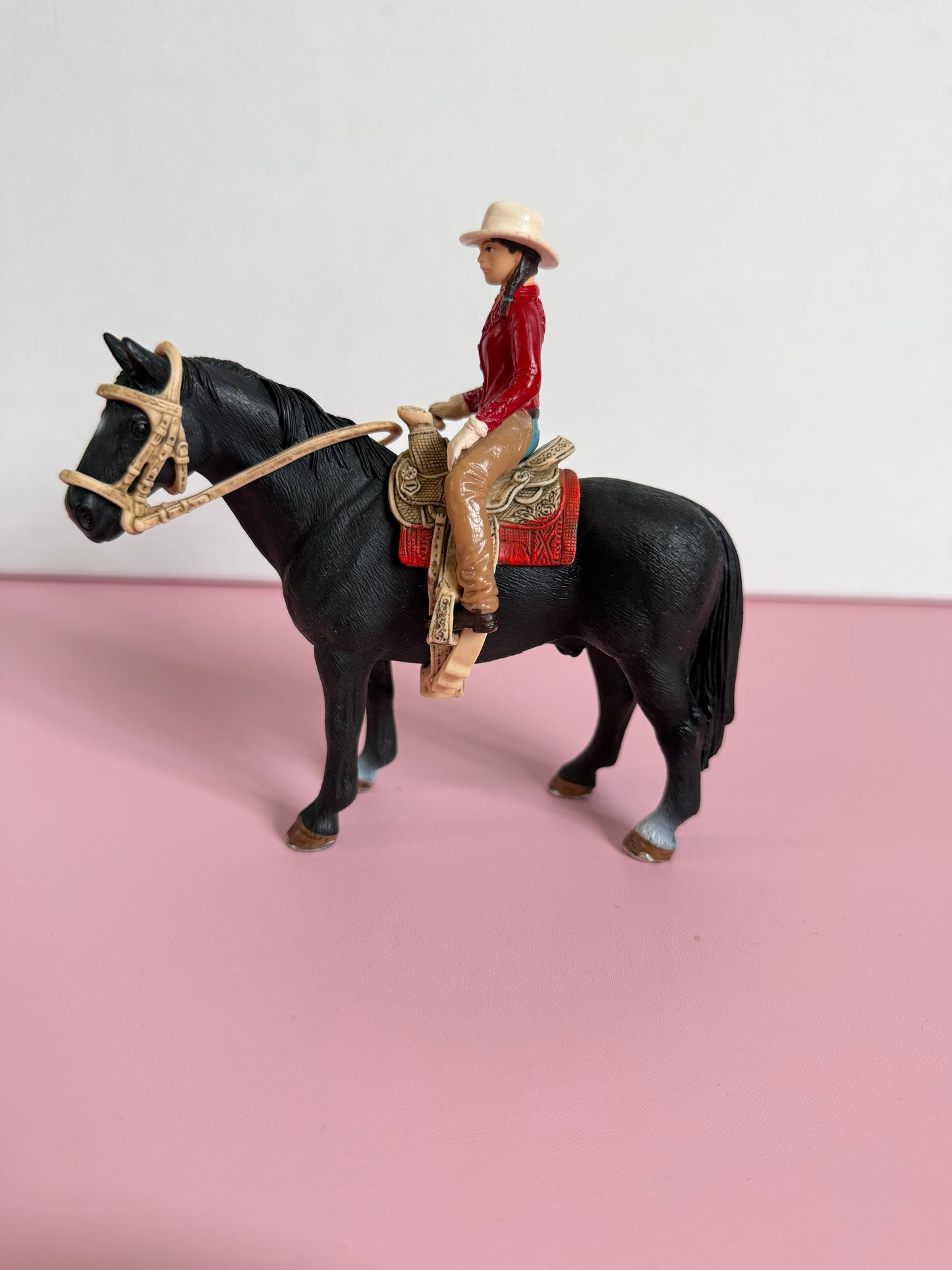 Re-Loved Rockstar: Tennessee Stallion and Western Rider