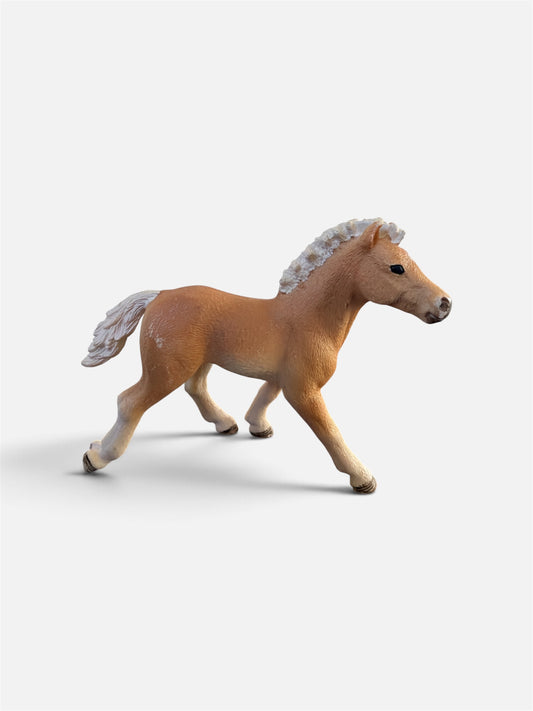 ✨ Re-Loved Rockstar Haflinger Foal – Dandelion ✨