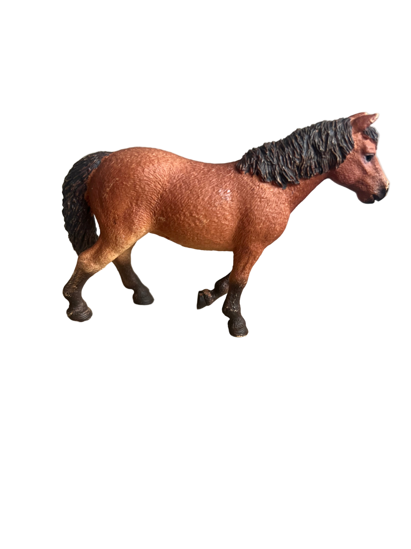 ✨Re-Loved Rockstar Dartmoor Mare – Bronte