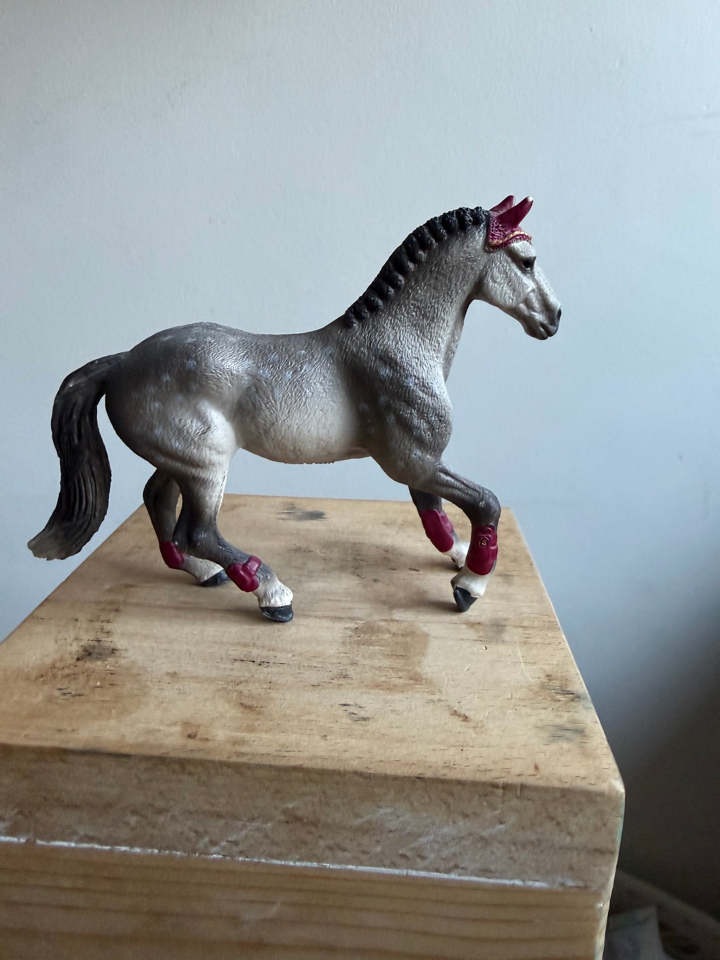 Re-Loved Rockstar: Trakehner Mare - Gwynnie