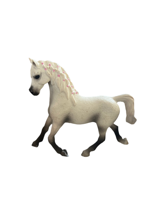 ✨Re-Loved Rockstar Arabian Mare – Halo✨