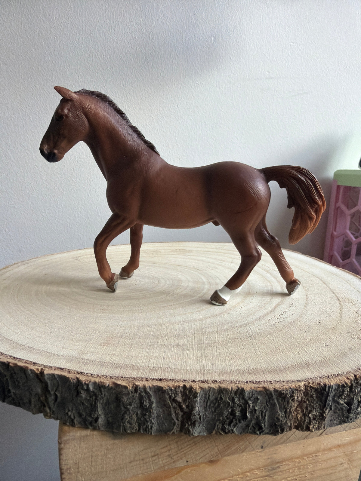 Re-Loved Rockstar: Trakehner Stallion- Ares