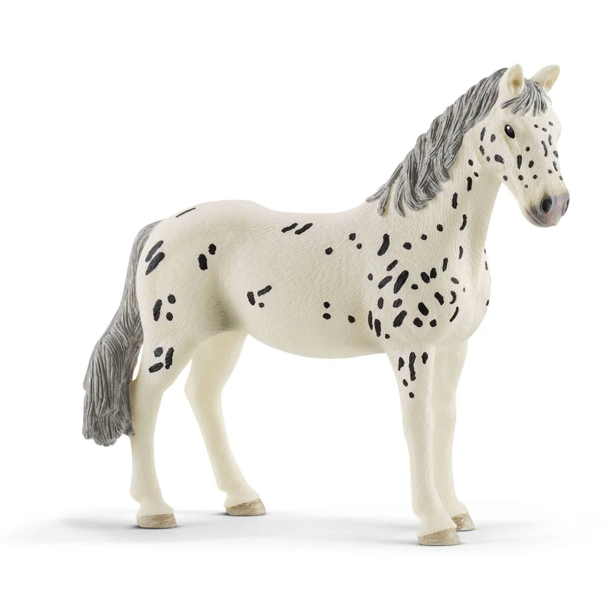 ✨ Re-Loved Rockstar Knabstrupper Mare – Pebble✨