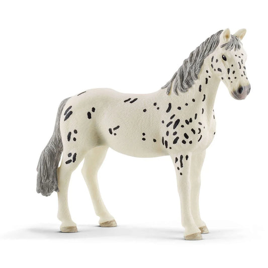 ✨ Re-Loved Rockstar Knabstrupper Mare – Star✨
