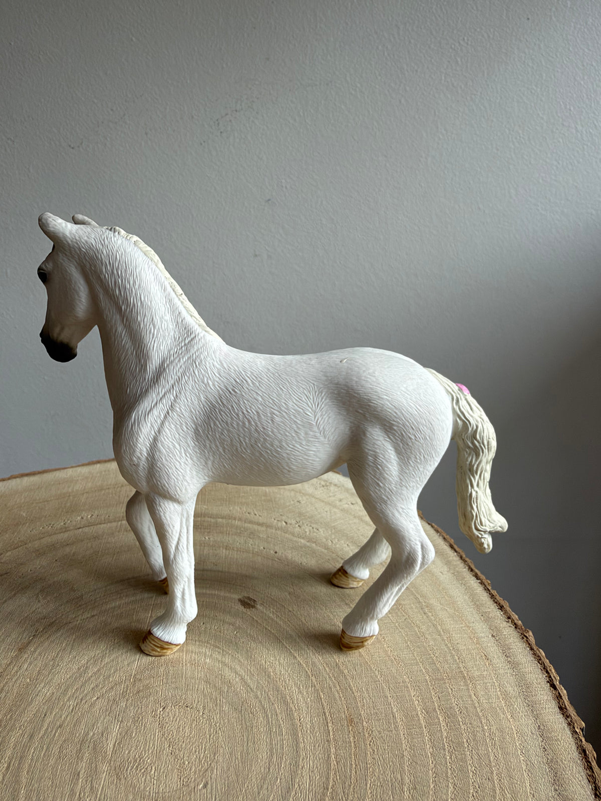 ✨Re-Loved Rockstar Andalusian Mare Blossom ‘25✨