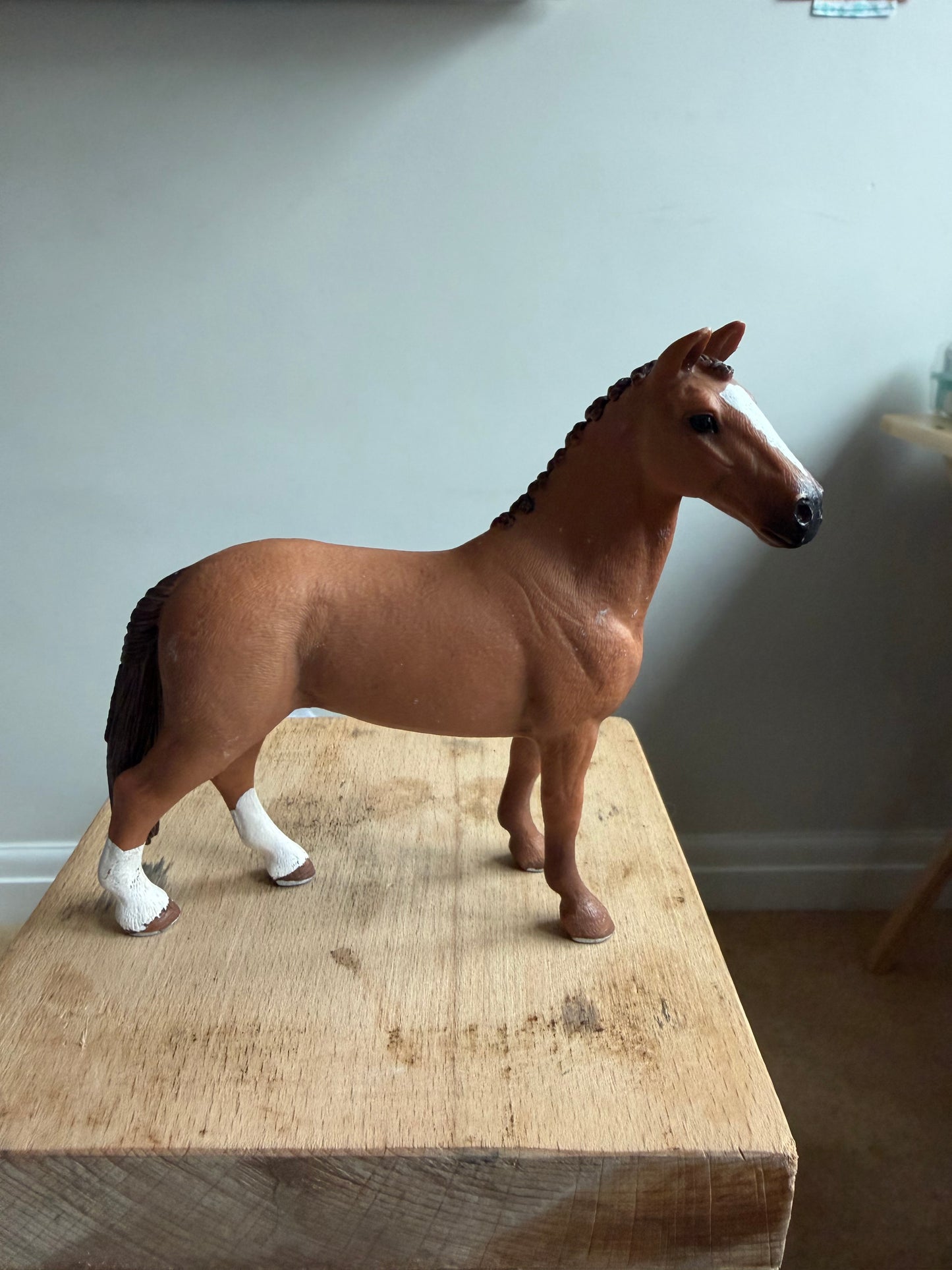 Re-Loved Rockstar: Hanoverian Gelding- Gunner