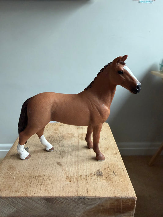 Re-Loved Rockstar: Hanoverian Gelding- Gunner