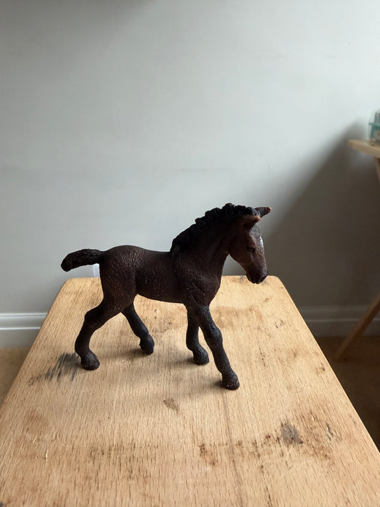 ✨ Re-Loved Rockstar Lipizzaner Foal –✨