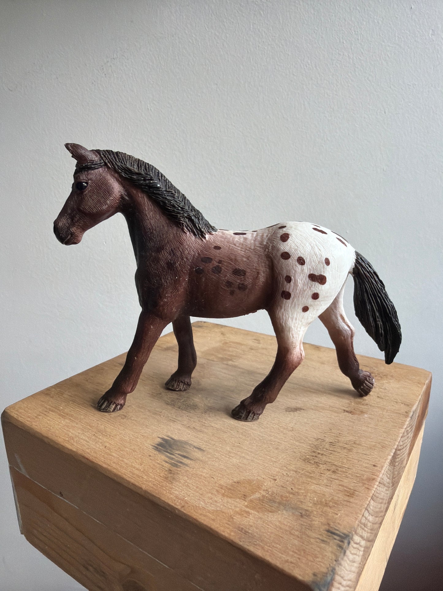 ✨ Re-Loved Rockstar Appaloosa Mare – Cherry✨