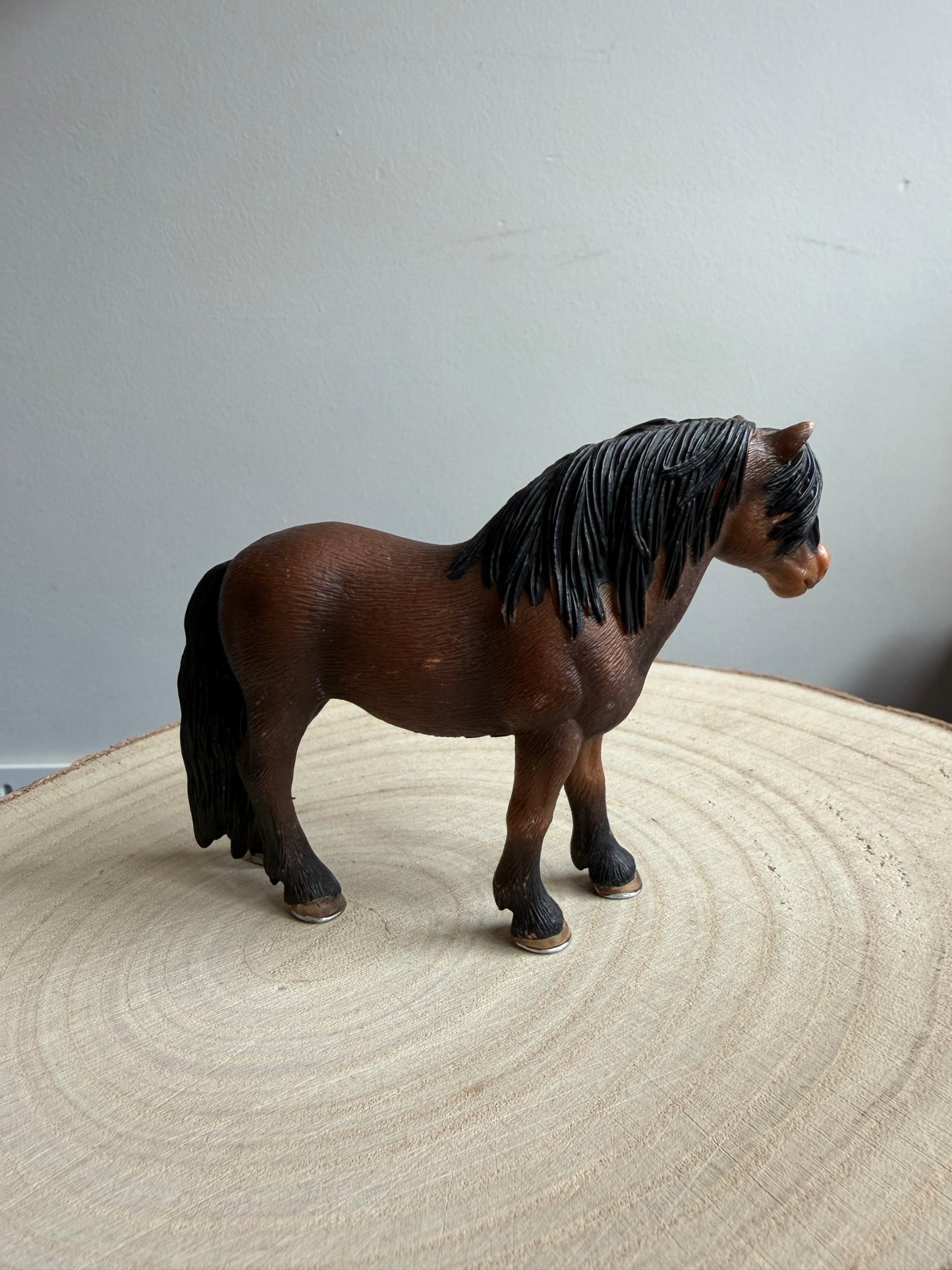 ✨Re-Loved Rockstar Welsh Mare – 2008✨ (Copy)