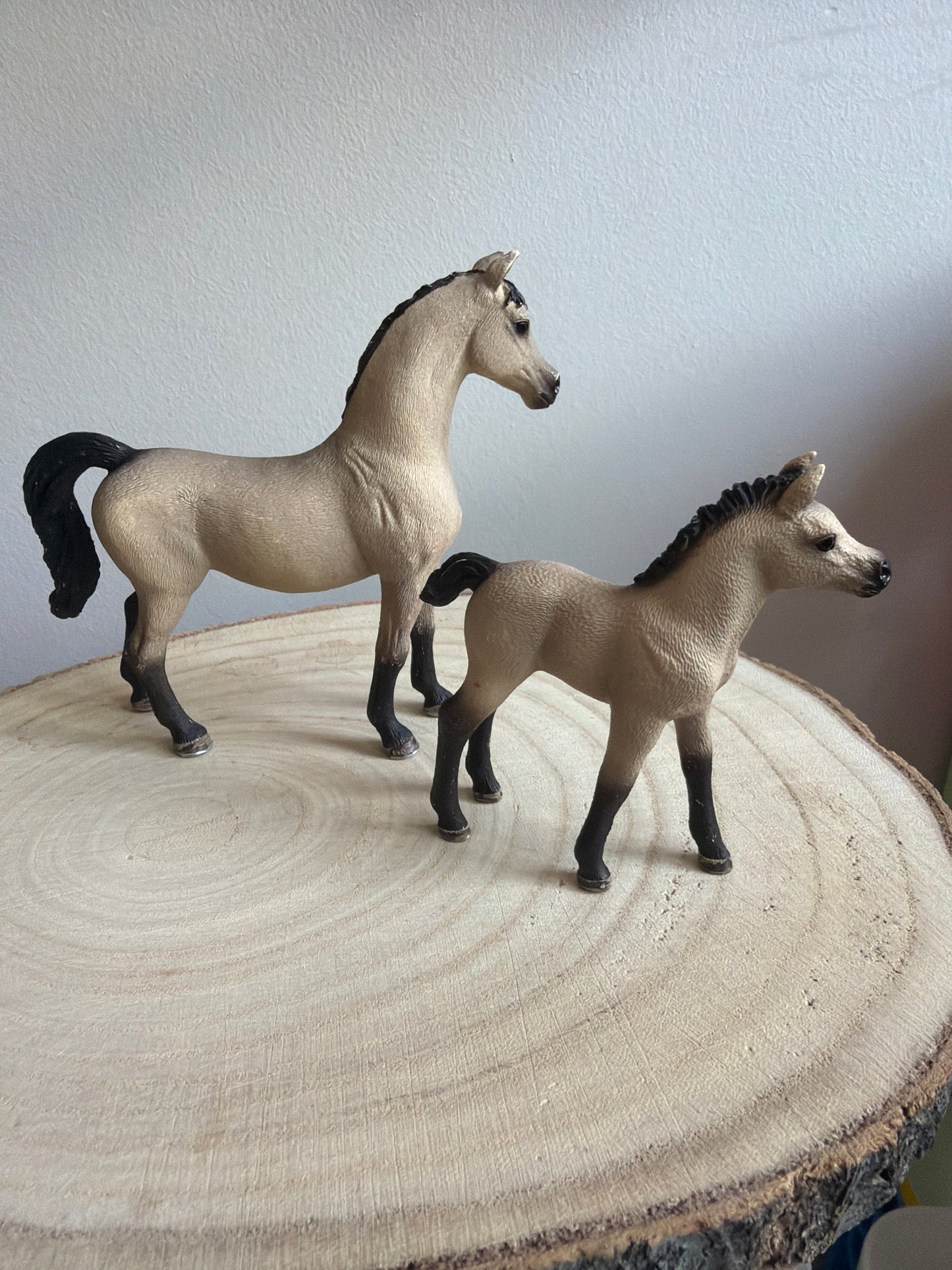 ✨Re-Loved Rockstar Arab Mare & Foal