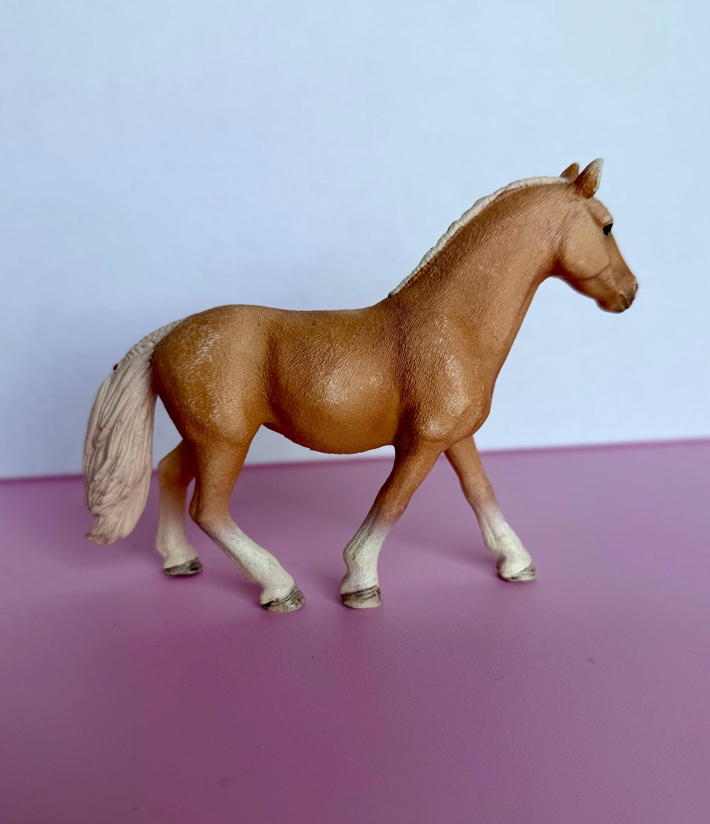 ✨Re-Loved Rockstar  – Haflinger Mare ✨Honey