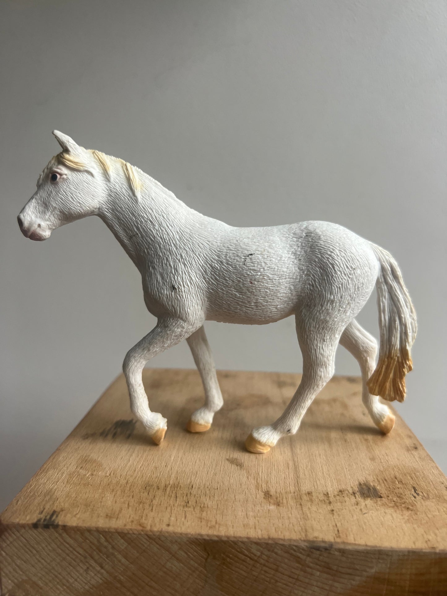 ✨Re-Loved Rockstar  – Camarillo Mare ✨Cloud