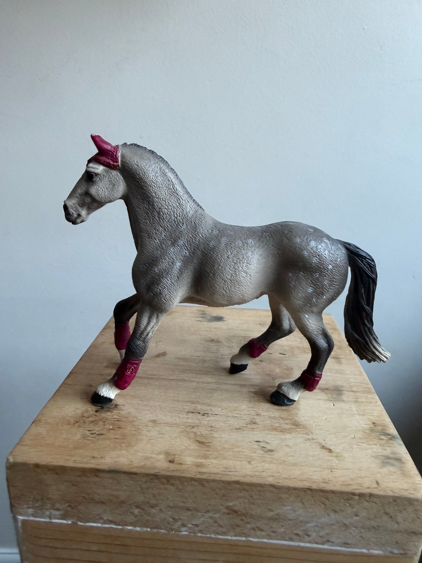 Re-Loved Rockstar: Trakehner Mare - Gwynnie