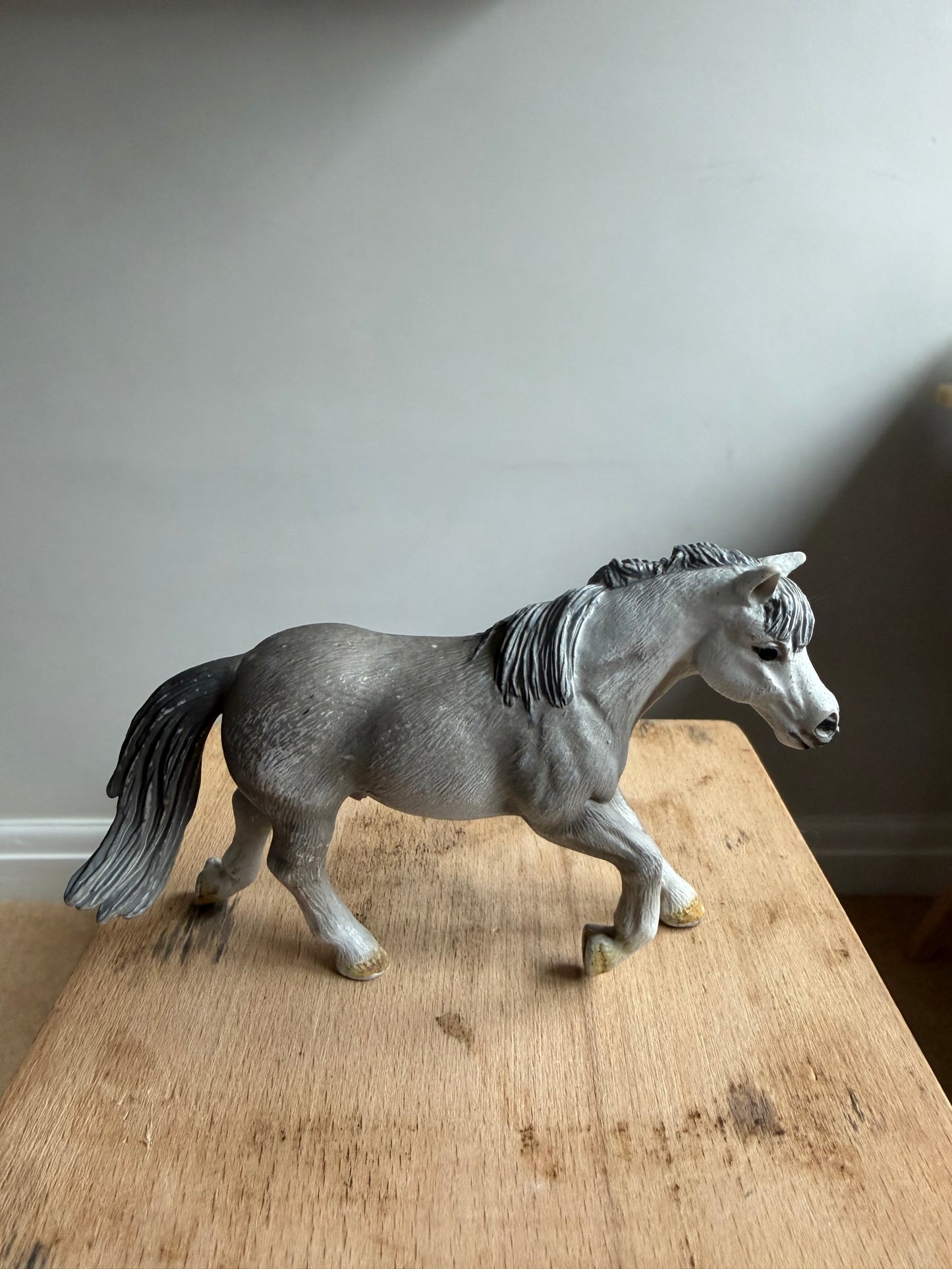 Re-Loved Rockstar: English Riding Pony - Norman