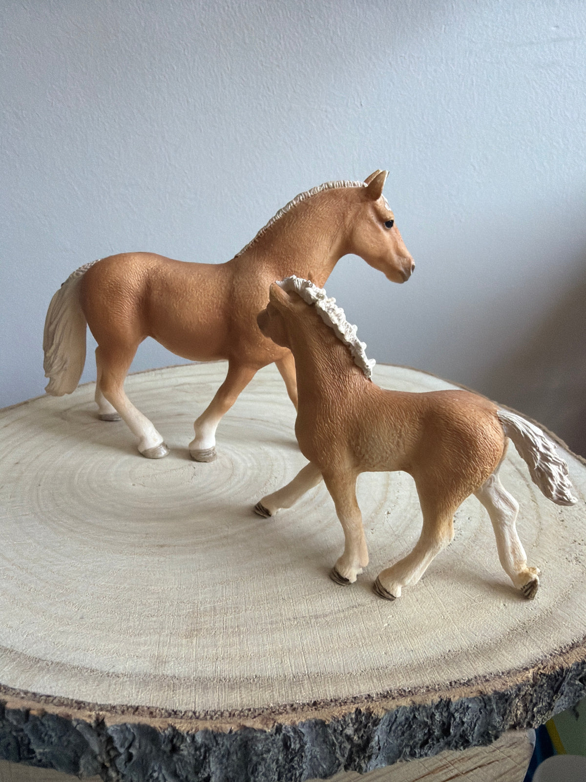 ✨Re-Loved Rockstar Haflinger Mare & Foal