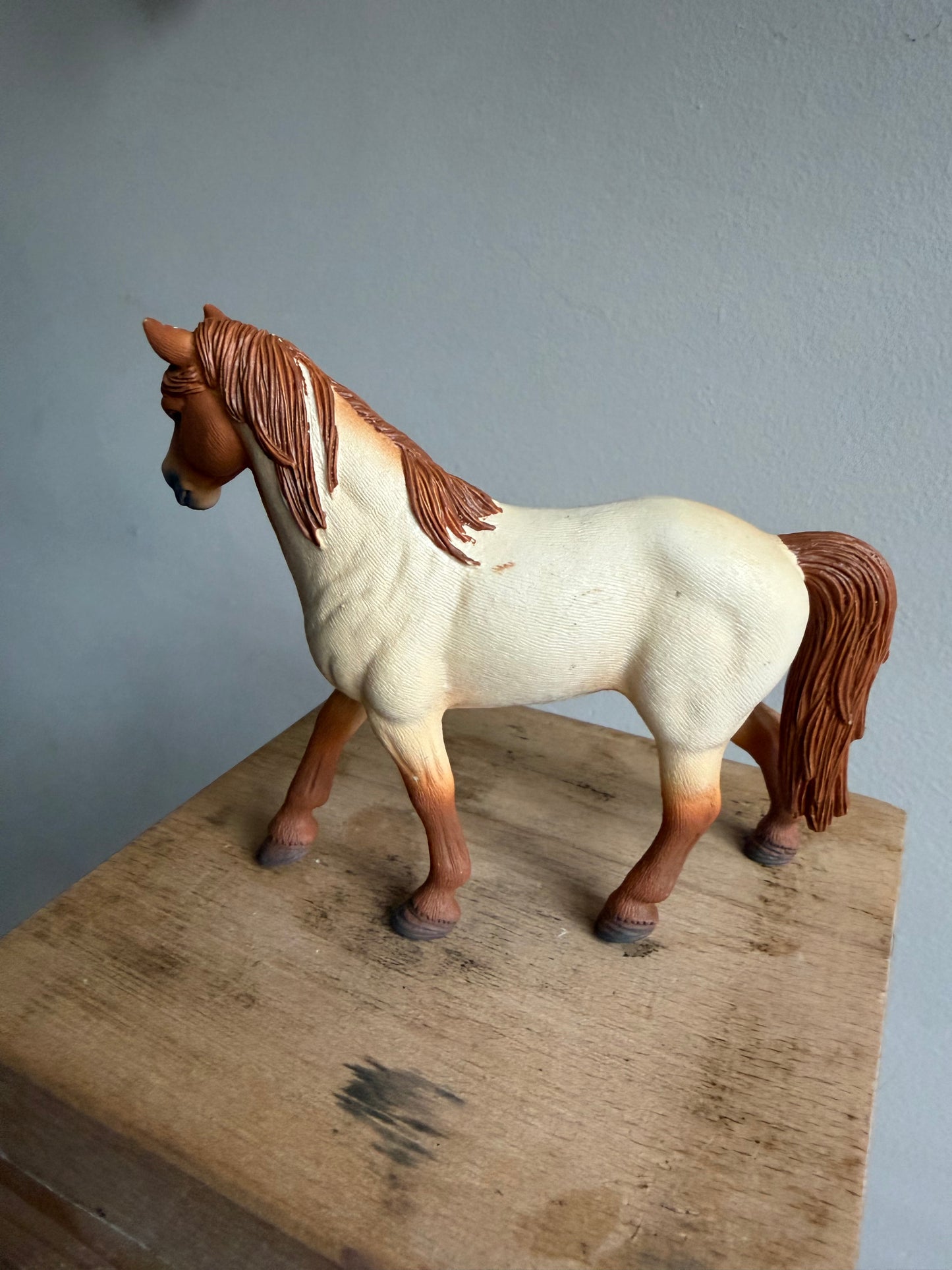 ✨Re-Loved Rockstar – Tennessee Walker- Daphne✨