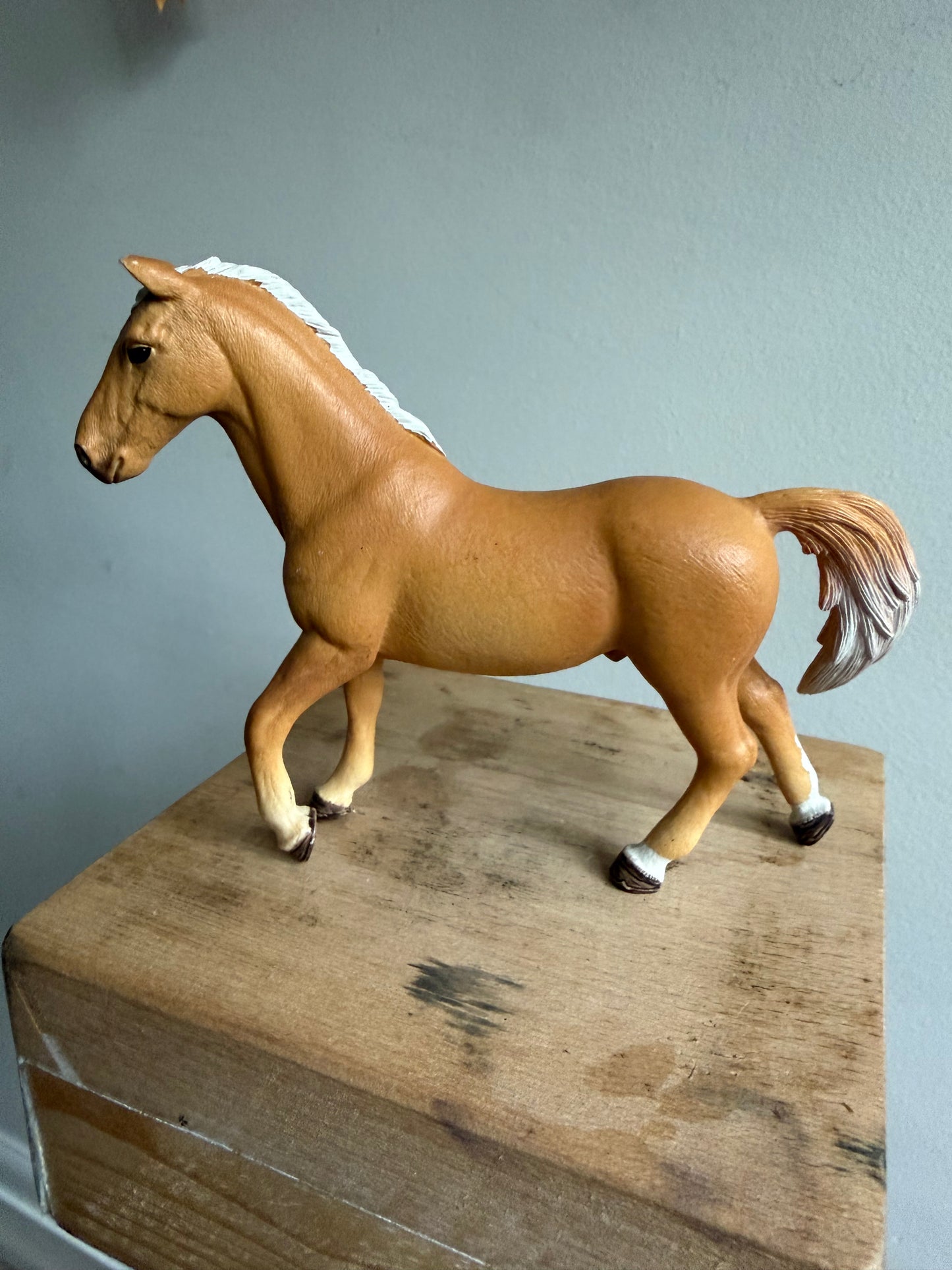 ✨Re-Loved Rockstar  – Trakehner Gelding ✨ Rafael