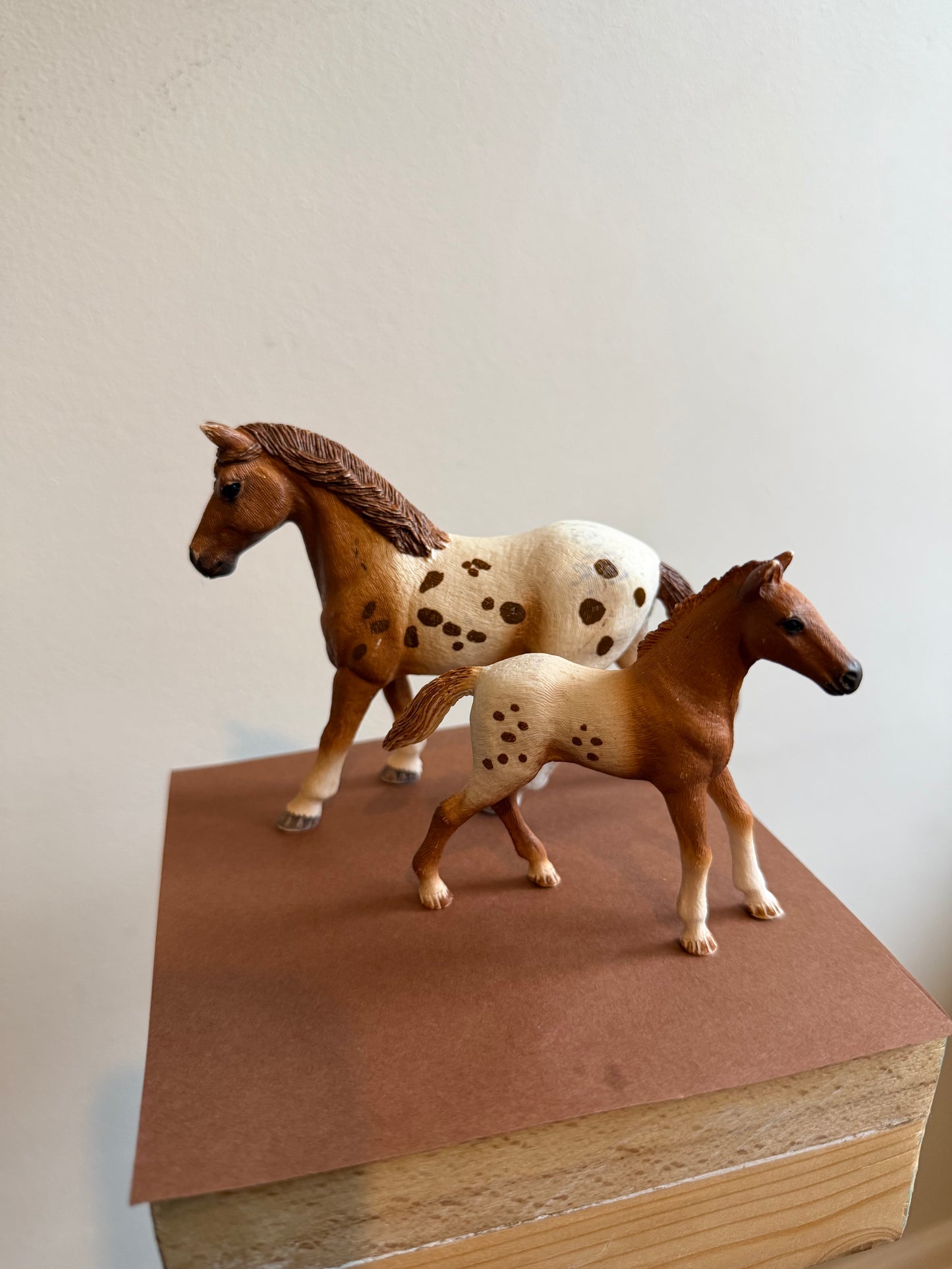 ✨Re-Loved Rockstar Appaloosa Mare & Foal–