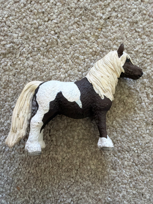 ✨Re-Loved Rockstar Shetland Pony Gelding - Roco