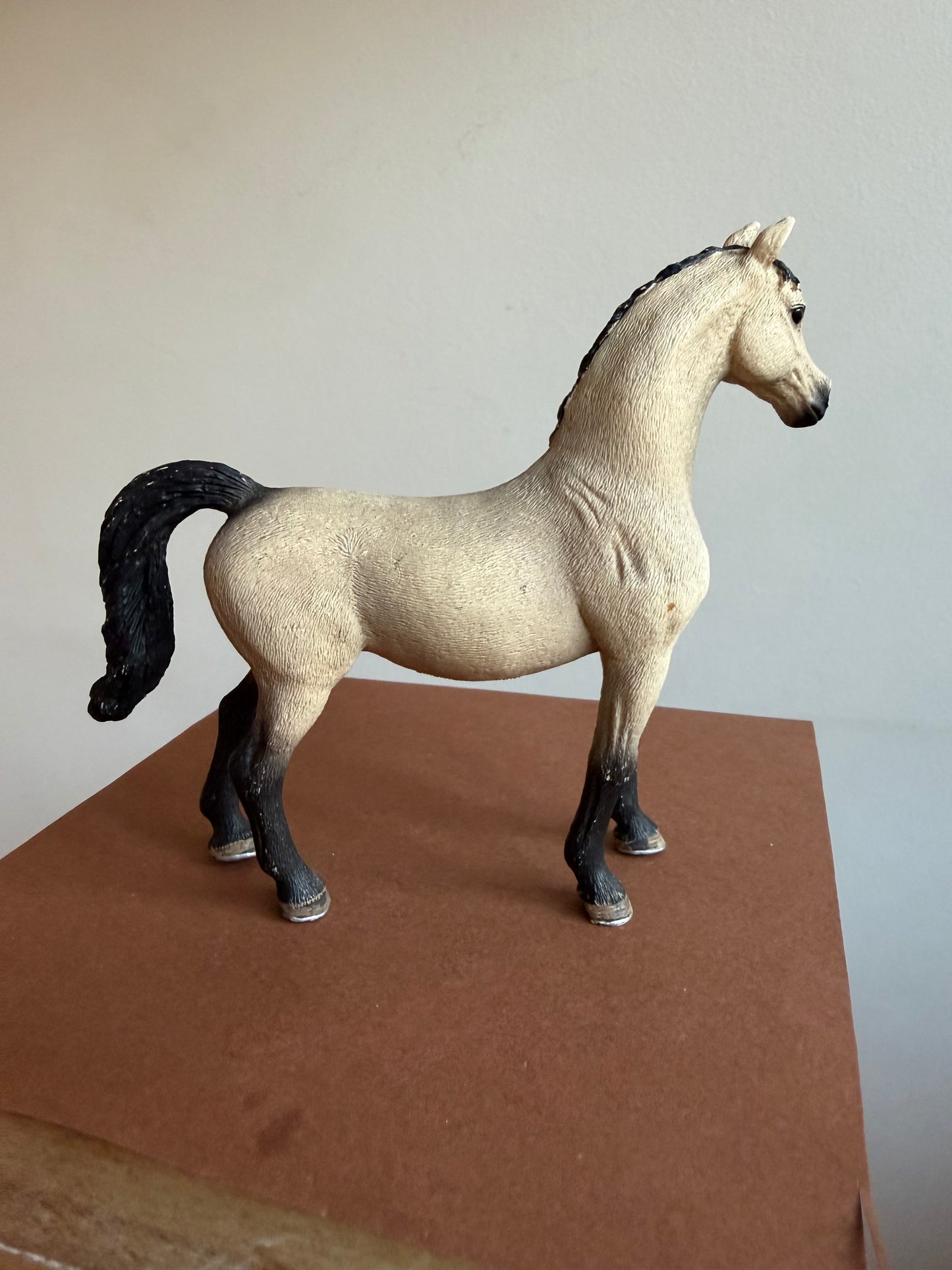 ✨Re-Loved Rockstar Arabian Mare – Suri ✨