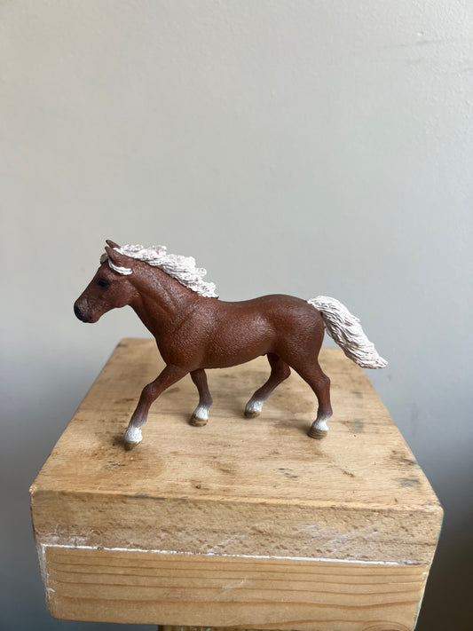 ✨Re-Loved Rockstar Shetland Pony Mare– Rocket