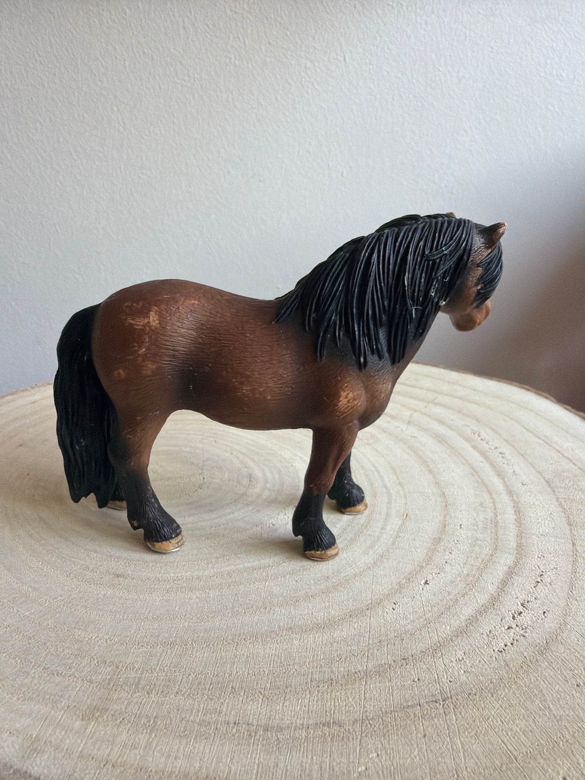 ✨Re-Loved Rockstar Welsh Mare – 2008✨
