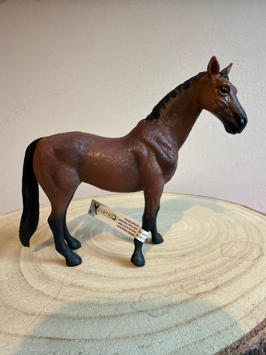 ✨Re-Loved Rockstar – Collect A- Thoroughbred Mare- Maggie✨