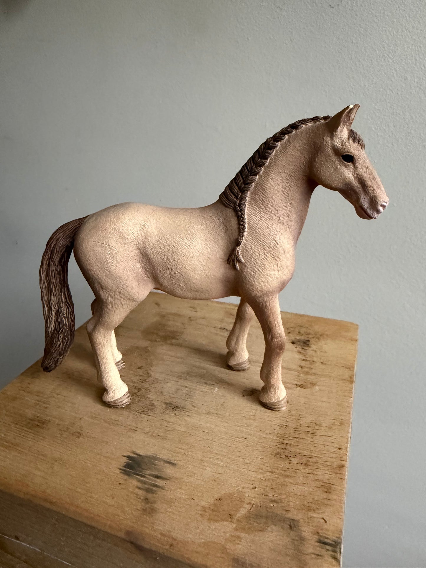 ✨Re-Loved Rockstar – Lusitano mare- Odette✨