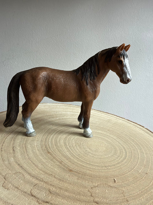 ✨Re-Loved Rockstar Tennessee Walker Mare 2011 - Cocoa ✨