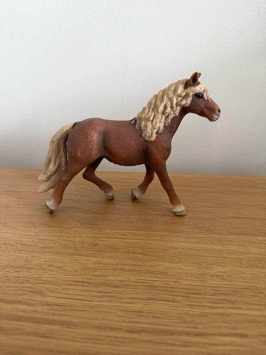✨Re-Loved Rockstar Haflinger Stallion – Robin