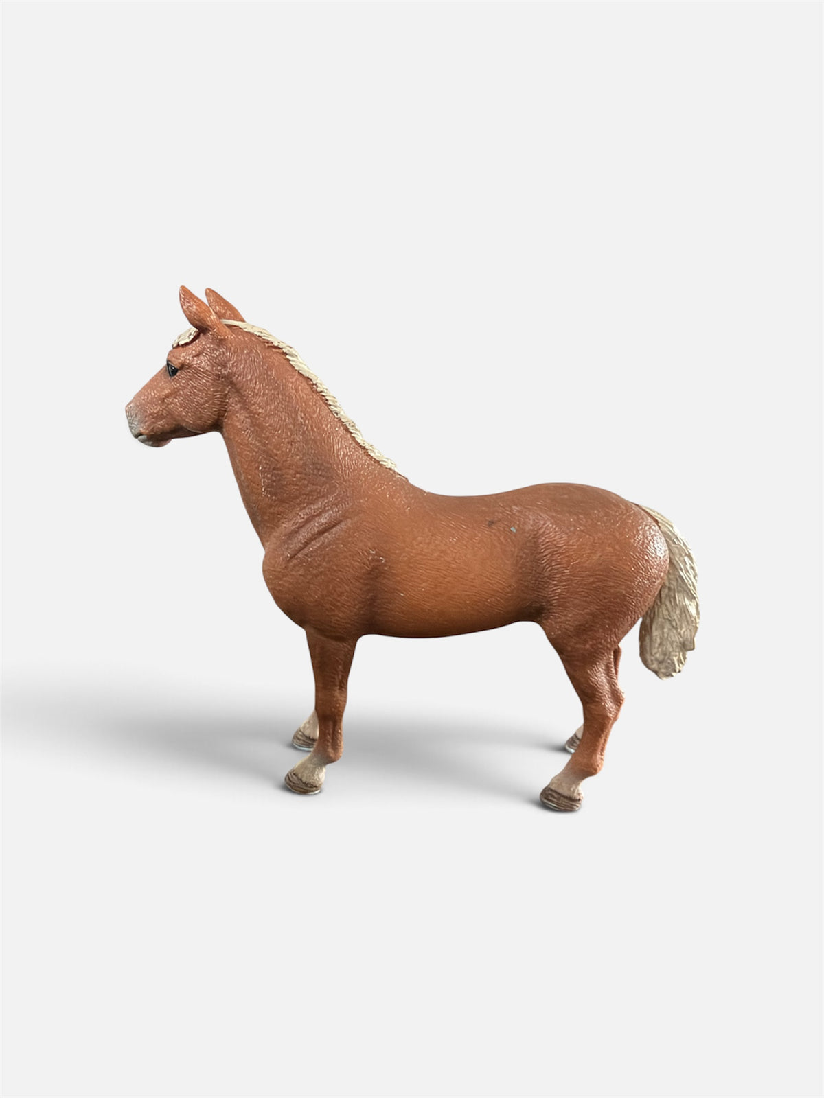 Re-Loved Rockstar: Morgan Stallion (Copy)