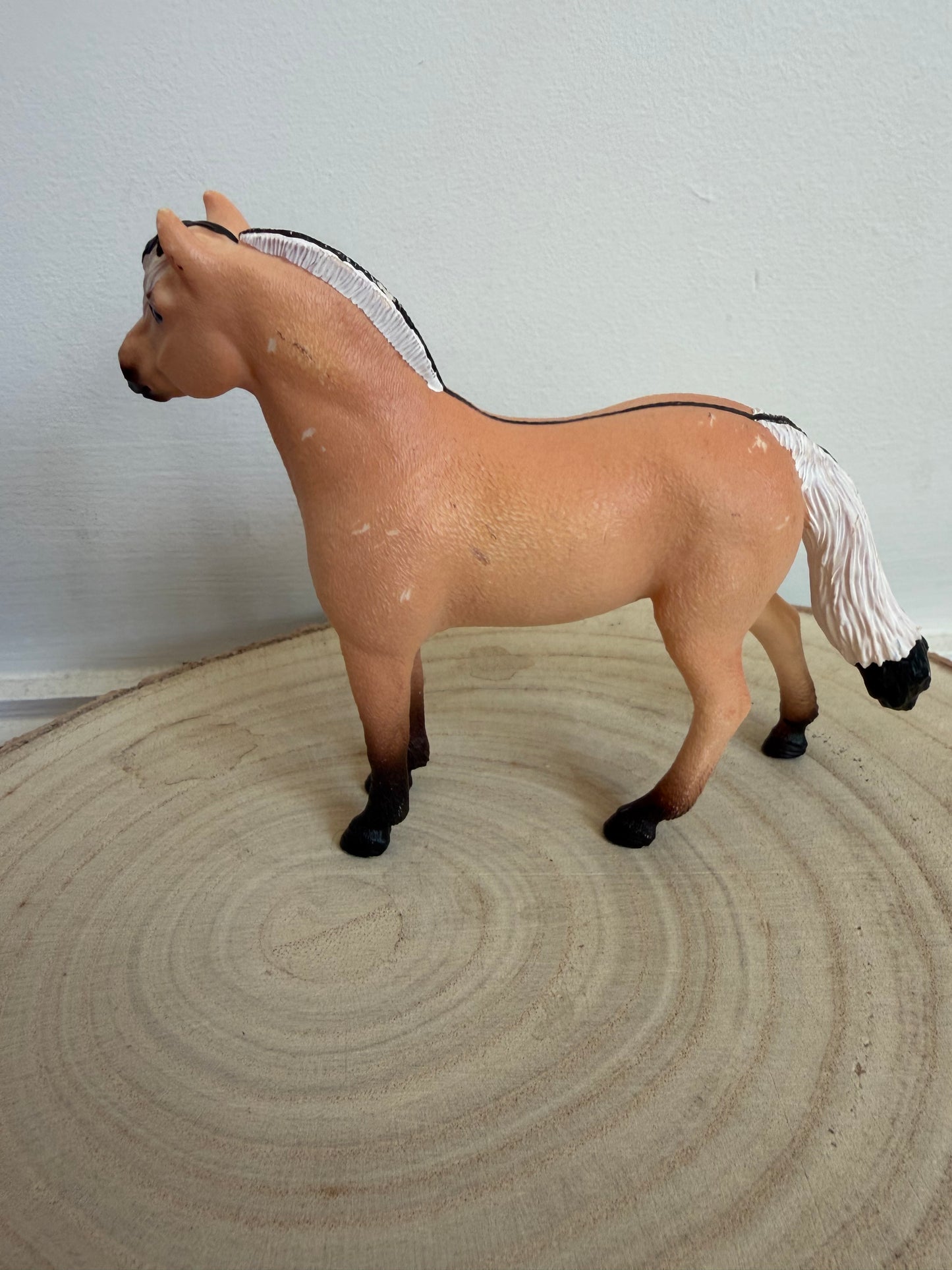 ✨Re-Loved Rockstar Norwegian Fjord Gelding 2023