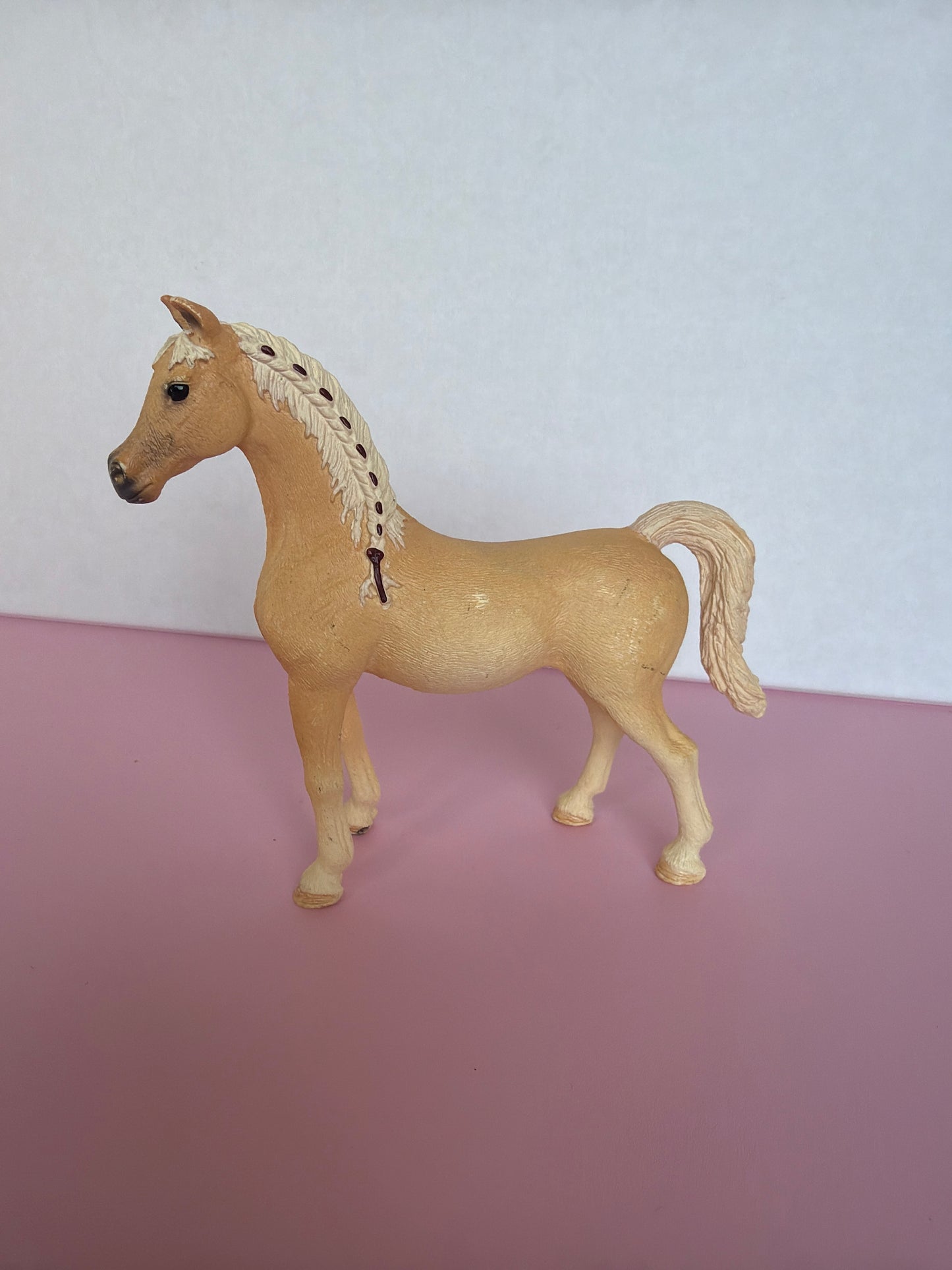 ✨Re-Loved Rockstar Arabian Mare – Suri ✨