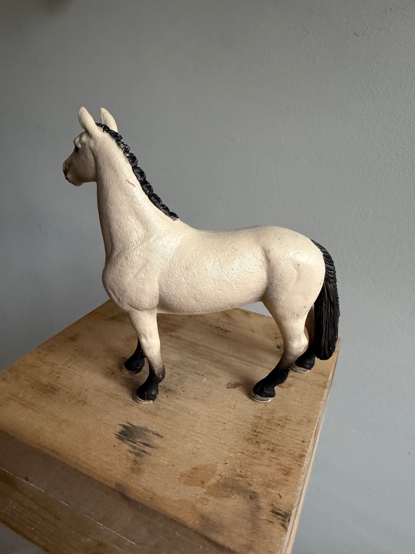 Re-Loved Rockstar: Hanoverian Gelding- Armin