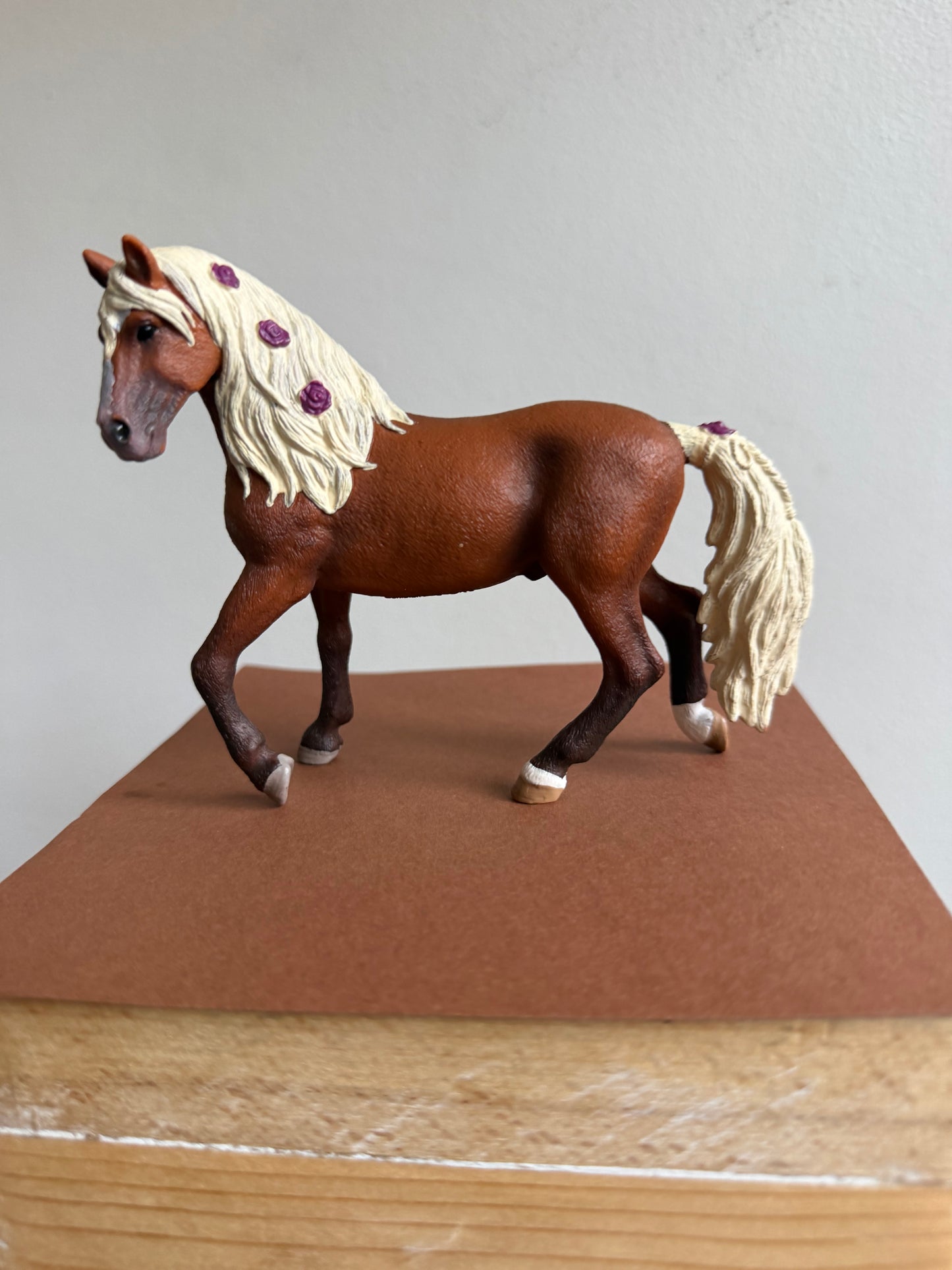 ✨Re-Loved Rockstar  – Paso Fino Stallion Gabe ✨