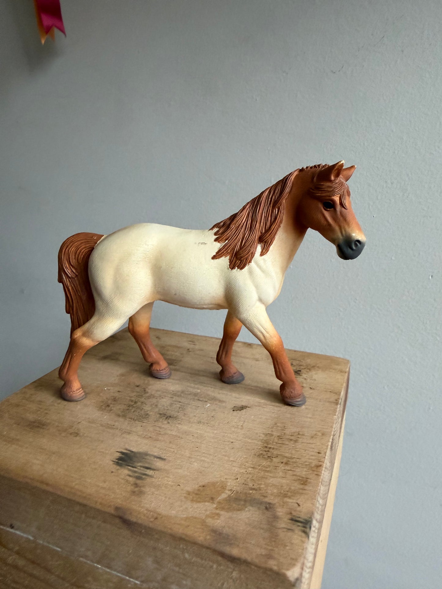 ✨Re-Loved Rockstar – Tennessee Walker- Daphne✨