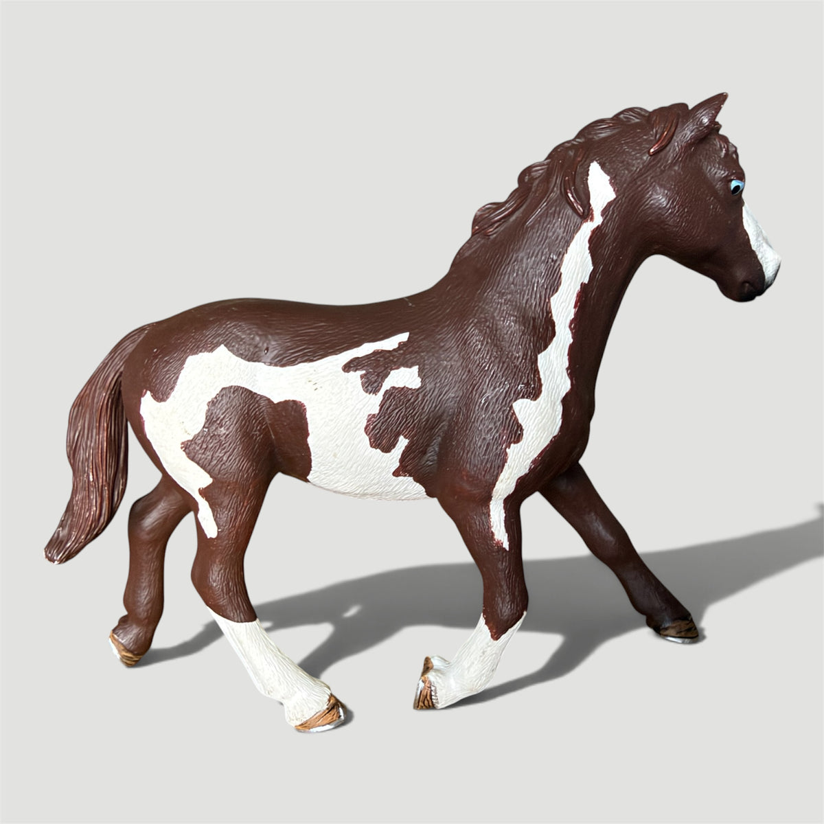 ✨Re-Loved Rockstar Pinto Mare - Alaska✨