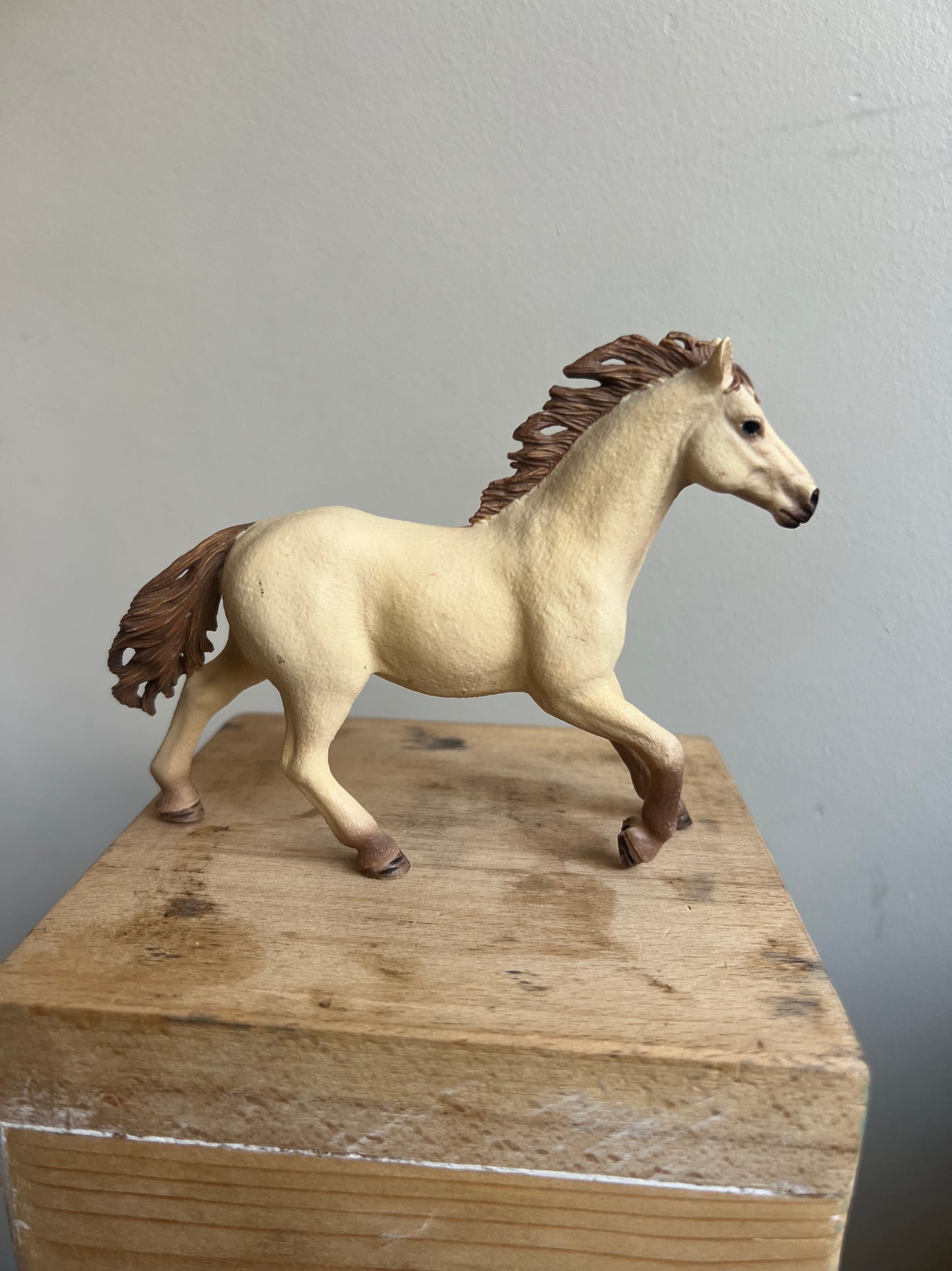 ✨Re-Loved Rockstar Quarter Horse Stallion – Flash