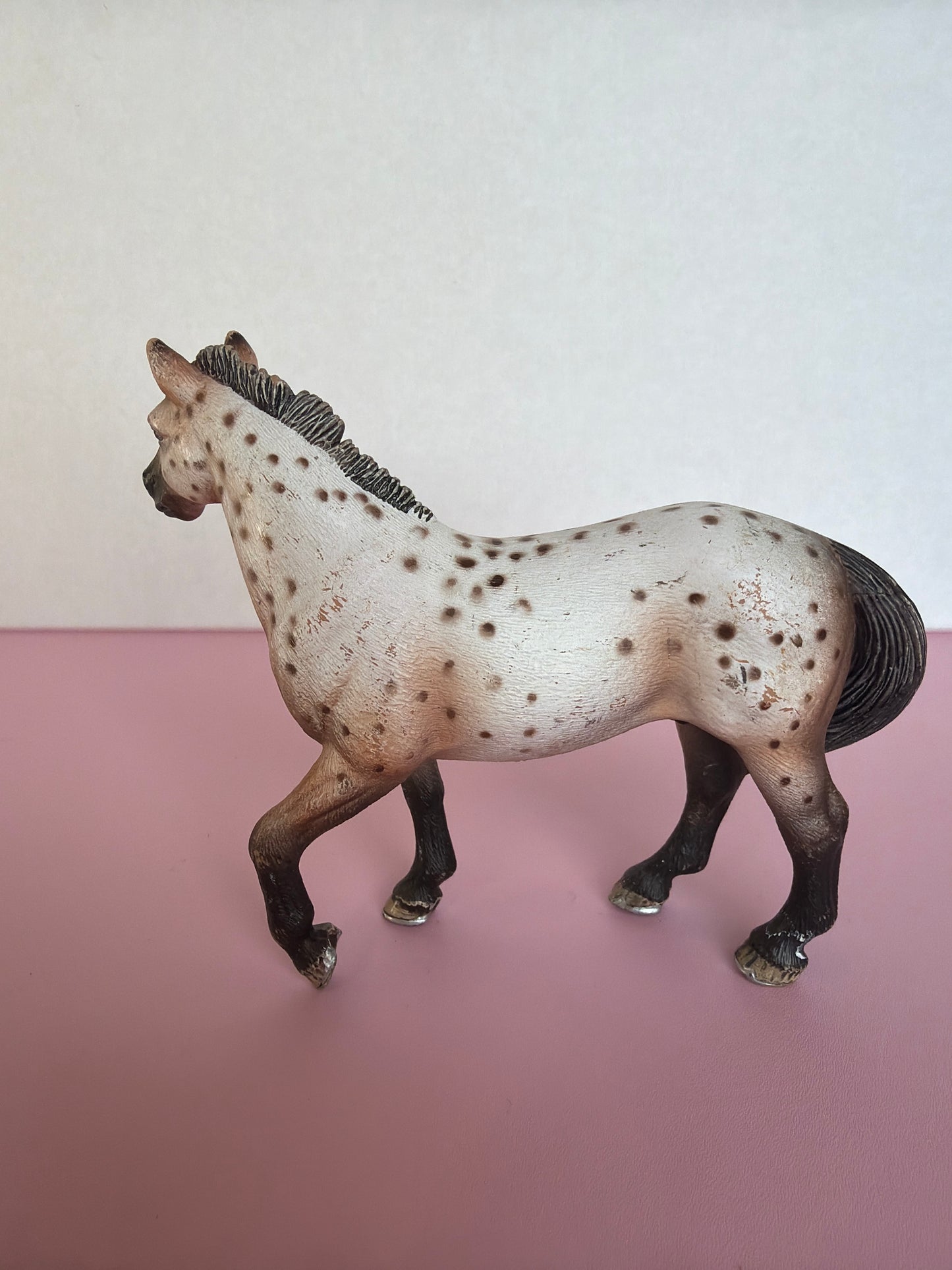 ✨Re-Loved Rockstar Appaloosa Stallion– River